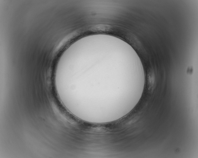 X0000113760396200910211214