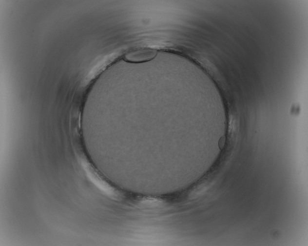 X0000113760397200910211214