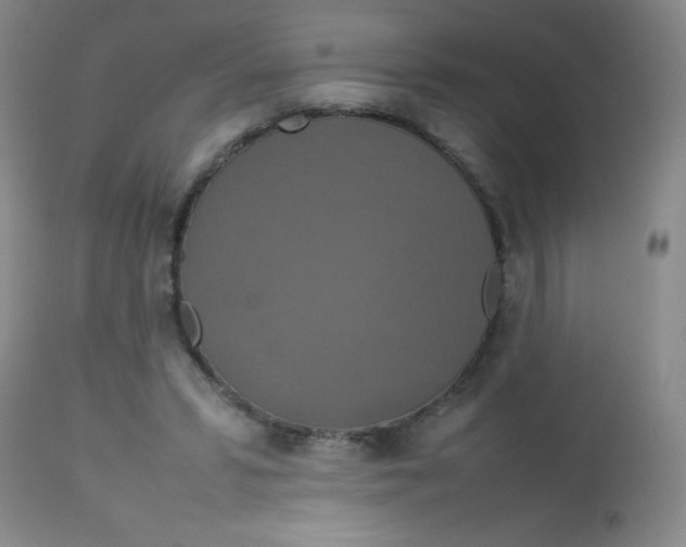 X0000113760399200910211214