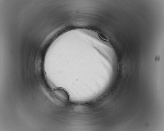 X0000113760400200910211214