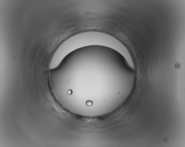 X0000113760401200910211214