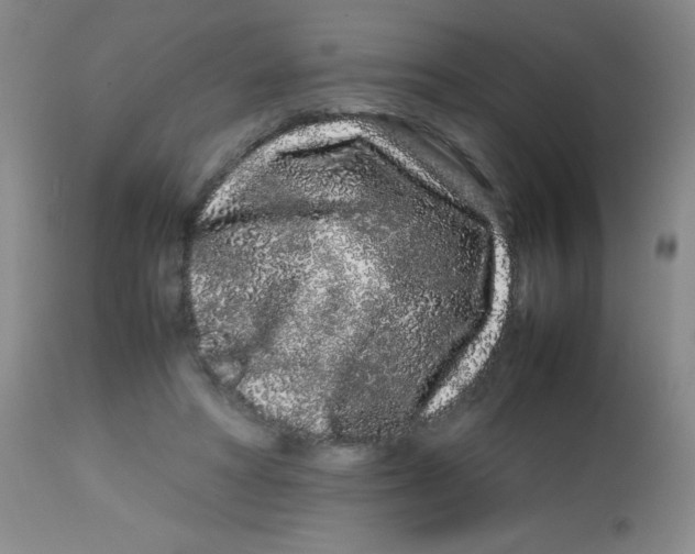 X0000113760402200910211214