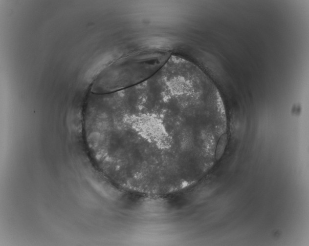 X0000113760403200910211214