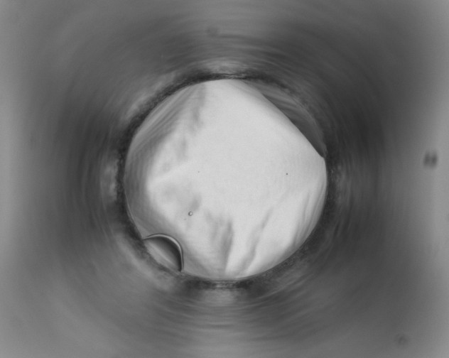 X0000113760404200910211214