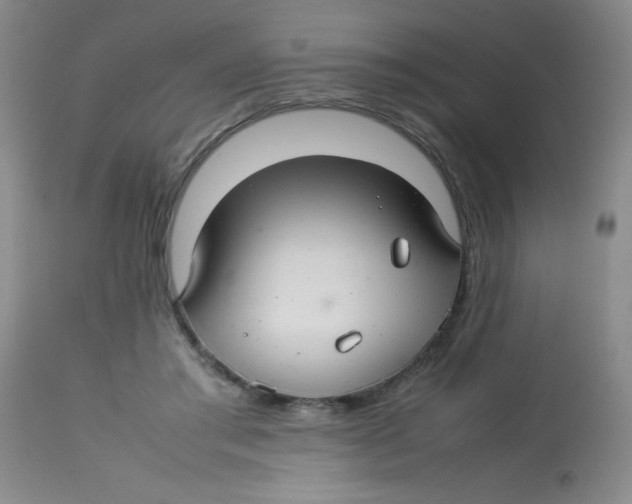 X0000113760405200910211214