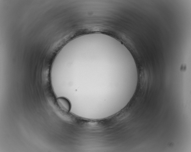 X0000113760406200910211214