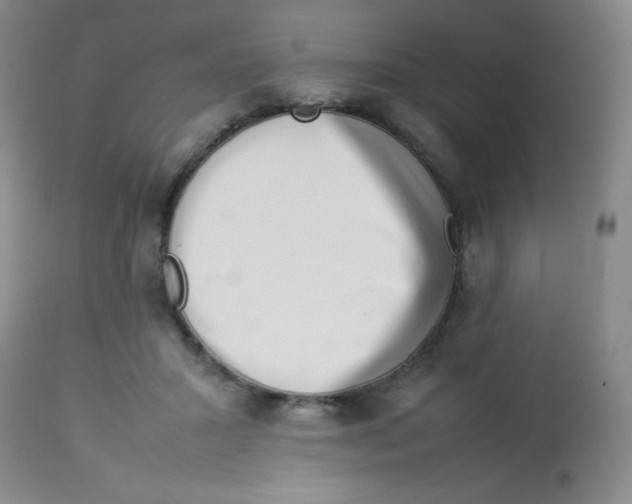 X0000113760407200910211214