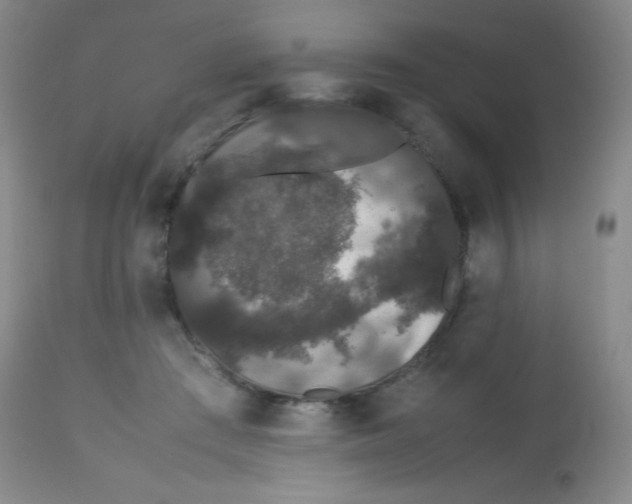 X0000113760409200910211214