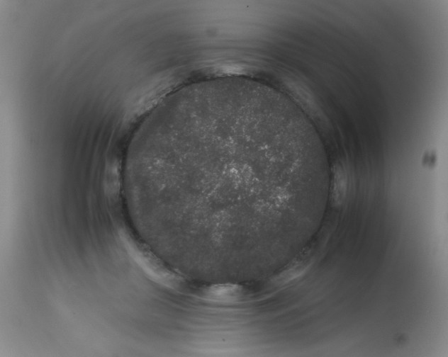 X0000113760410200910211214
