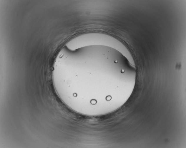 X0000113760411200910211214