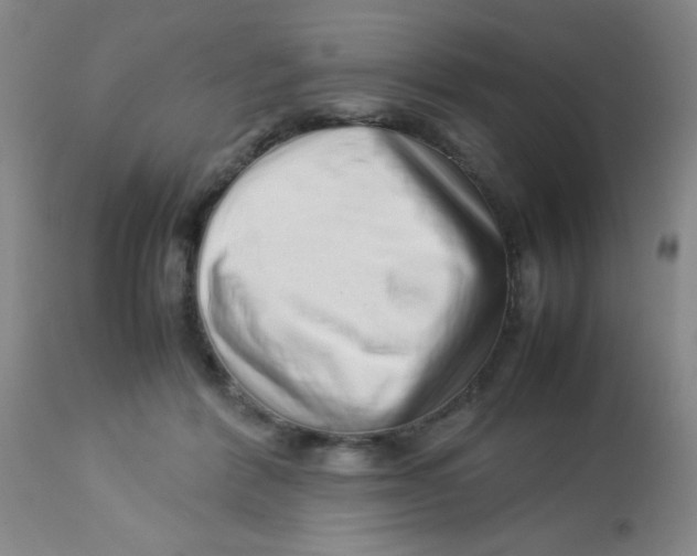 X0000113760412200910211214