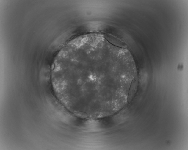 X0000113760413200910211214