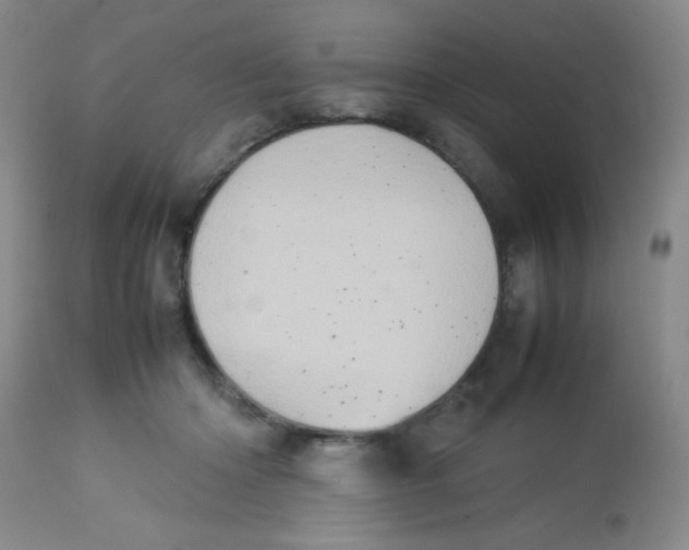 X0000113760414200910211214