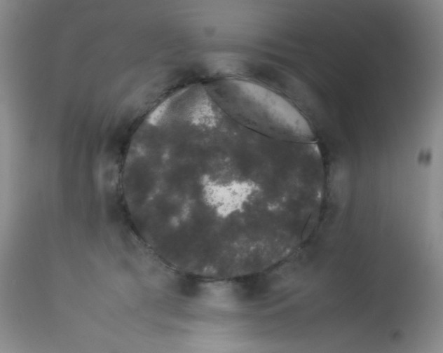 X0000113760417200910211214
