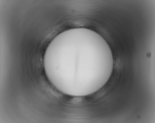 X0000113760418200910211214