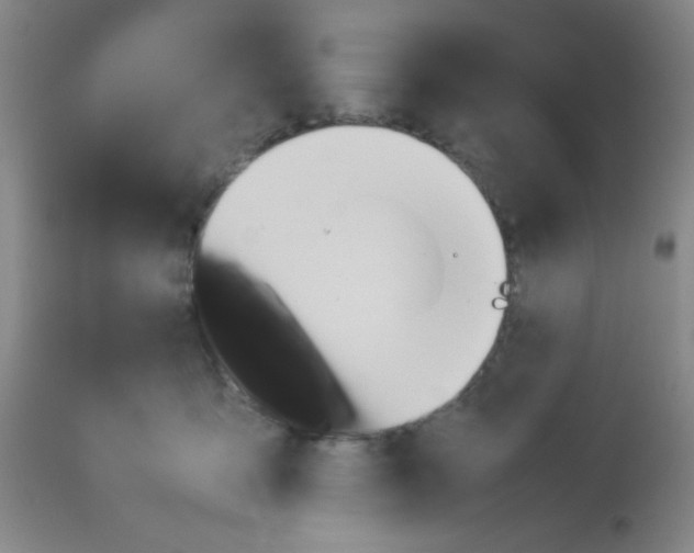 X0000113760419200910211214