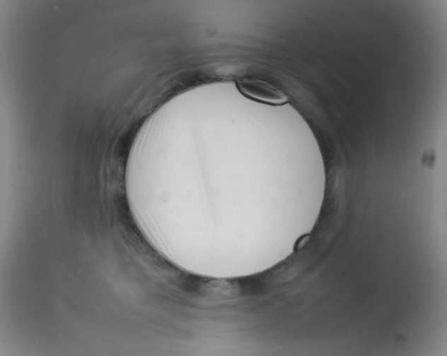 X0000113760421200910211214