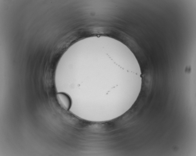 X0000113760422200910211214