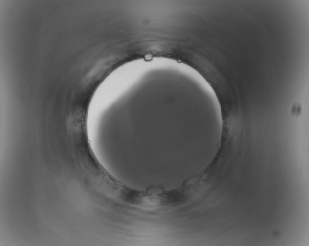 X0000113760423200910211214
