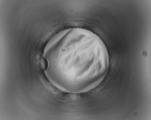 X0000113760424200910211214