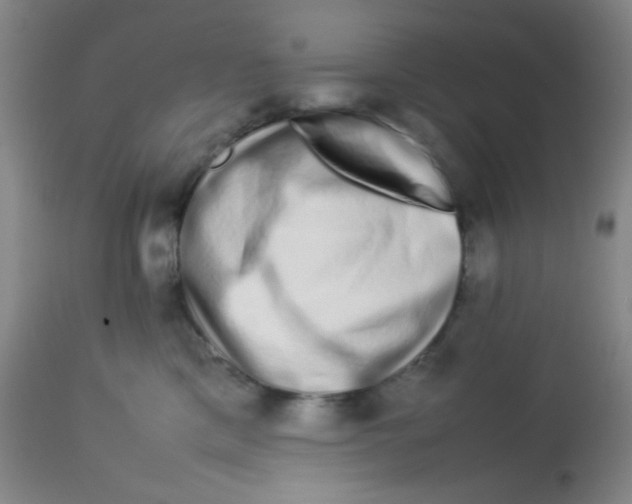 X0000113760425200910211214