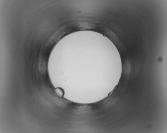 X0000113760426200910211214