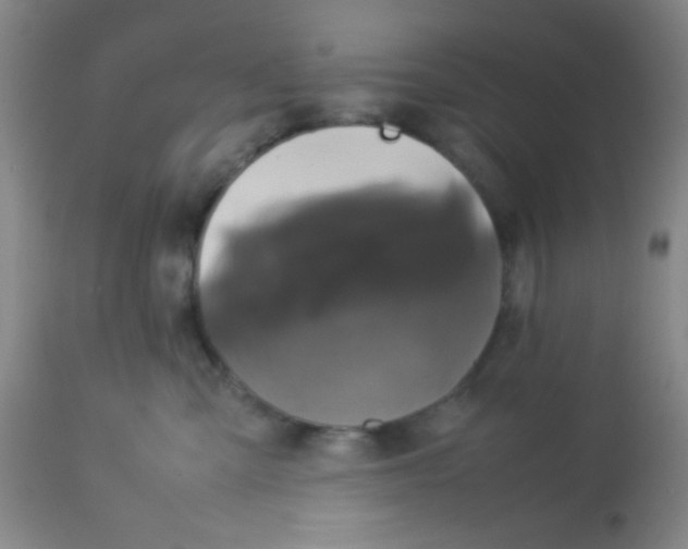 X0000113760427200910211214