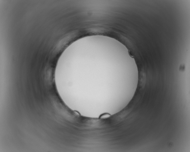 X0000113760428200910211214