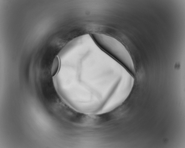 X0000113760429200910211214