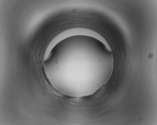 X0000113760431200910211214