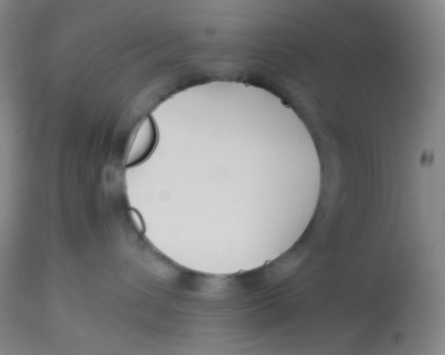 X0000113760432200910211213