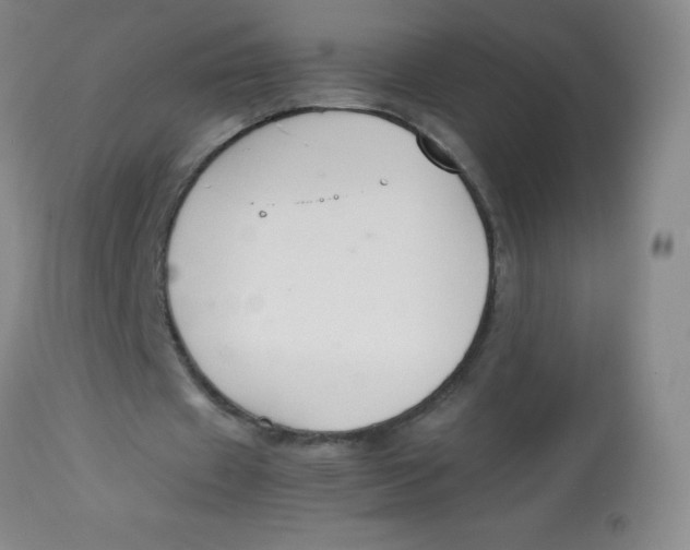 X0000113760433200910211213