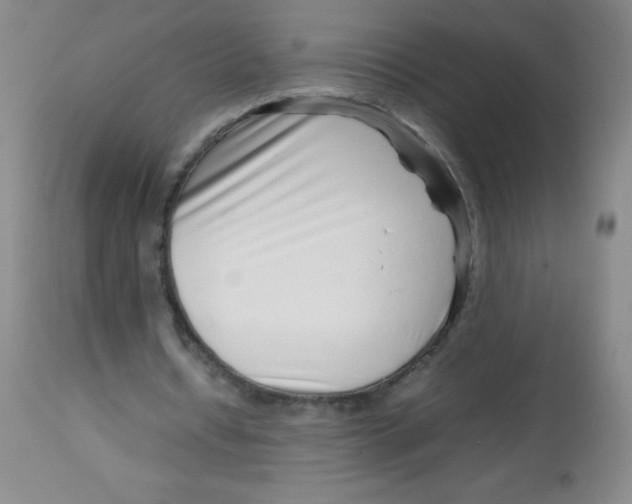 X0000113760434200910211213