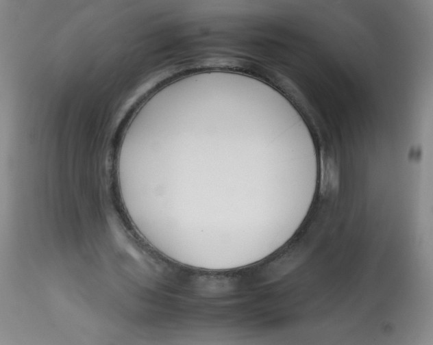 X0000113760435200910211213