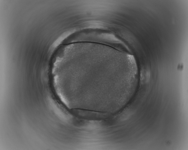 X0000113760436200910211213