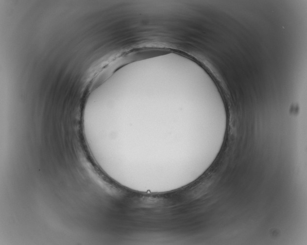 X0000113760437200910211213