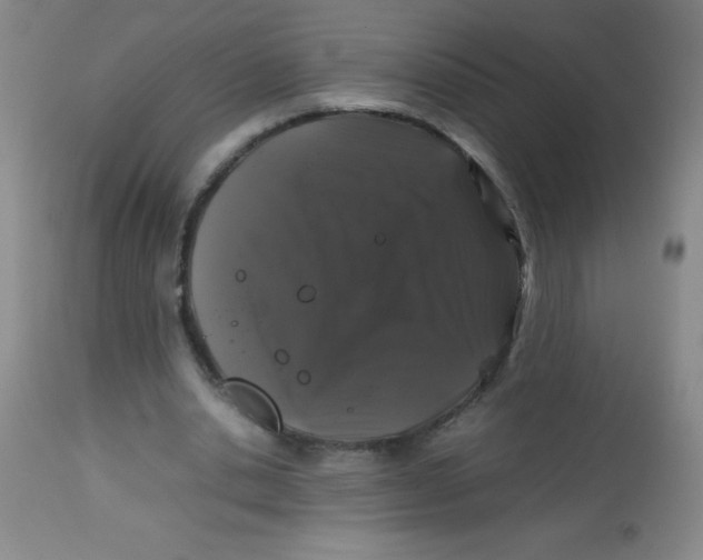 X0000113760438200910211213
