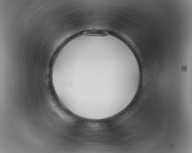 X0000113760439200910211213