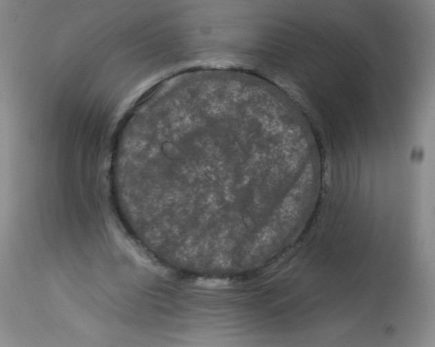 X0000113760440200910211213