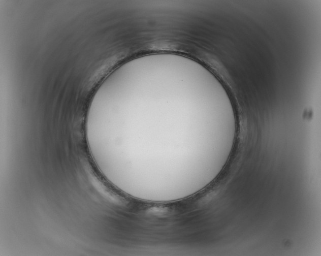 X0000113760441200910211213