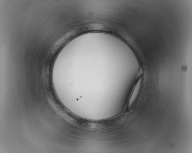 X0000113760442200910211213