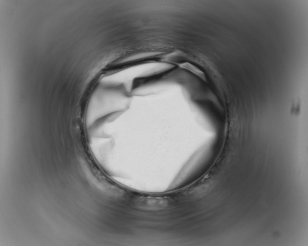 X0000113760443200910211213