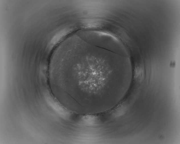 X0000113760444200910211213