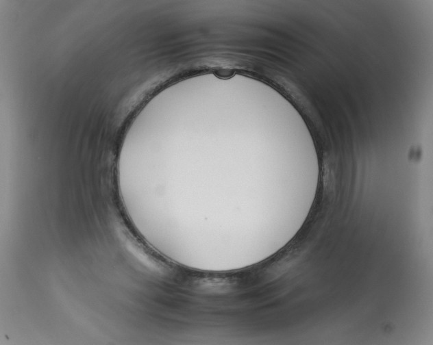 X0000113760445200910211213