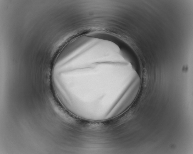 X0000113760446200910211213
