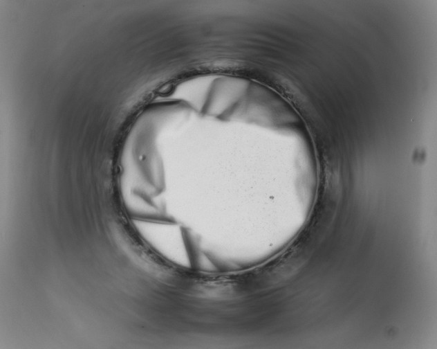 X0000113760447200910211213
