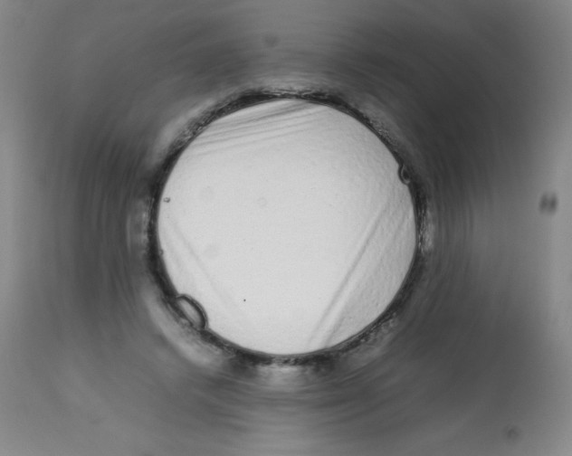 X0000113760448200910211213