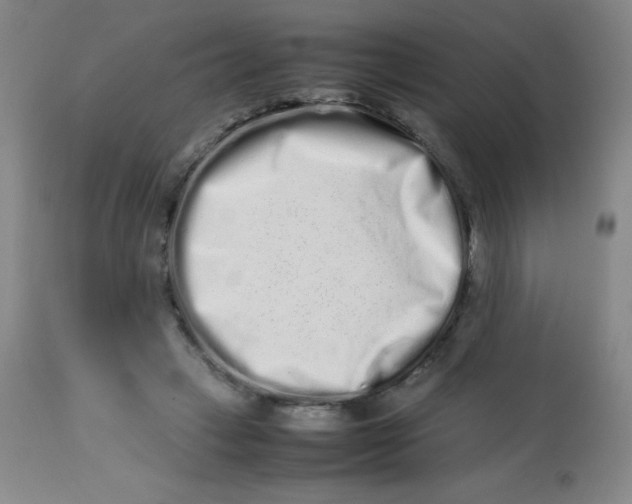 X0000113760449200910211213