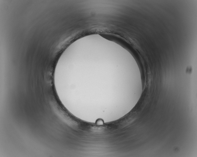 X0000113760450200910211213