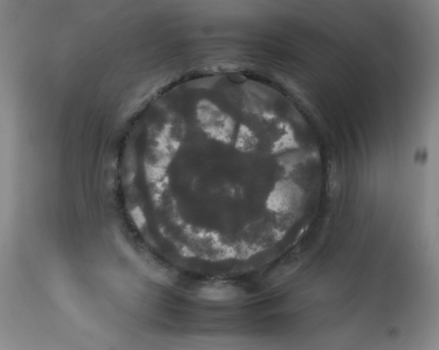 X0000113760451200910211213